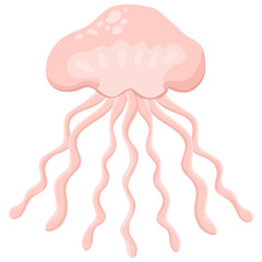 A jellyfish isolated on a transparent background.Vector illustration of a marine animal.