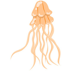 A jellyfish isolated on a transparent background.Vector illustration of a marine animal.
