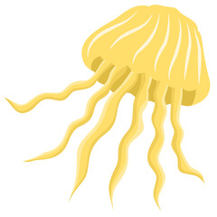 A jellyfish isolated on a transparent background.Vector illustration of a marine animal.