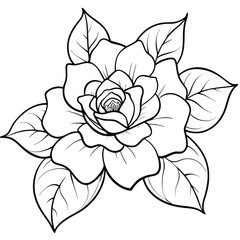 beautiful gardenia flower 