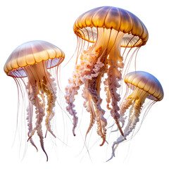 Mushroom on black, glowing sea jellyfish with flowing tentacles in deep blue water