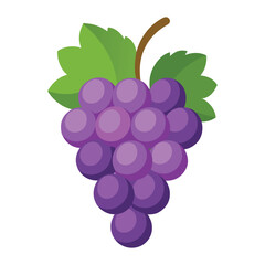 Grape fruits with leaf icon vector illustrtion