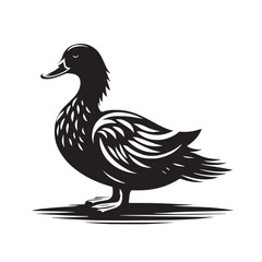Black Peking Duck Silhouette Vector, High Quality Illustration on White Background