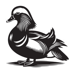 Black Peking Duck Silhouette Vector, High Quality Illustration on White Background