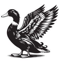 Black Peking Duck Silhouette Vector, High Quality Illustration on White Background