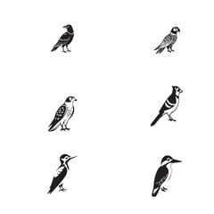 Cute Birds Vector set 