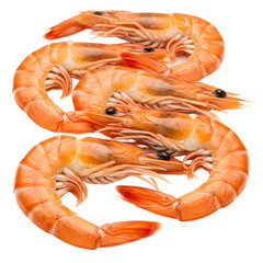 shrimp isolated on white