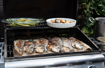 Grilled fish on the grill. Delicious sea bream with asparagus ready to eat for lunch or main dinner. Preparing and grilling during garden party. Cookout. Close up.