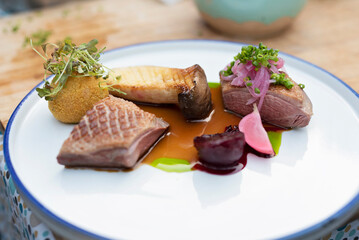 Gourmet food. A piece of grilled meat with mushroom and sauce on white plate in restaurant. Fresh served duck on main dish. Close up.
