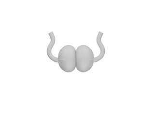 Fototapeta premium Testiculos icon 3d illustration render