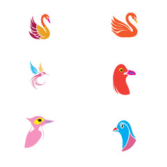 Colorful Birds vector set 