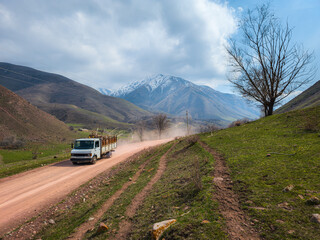 Small truck driving on dirt road carrying wood branches in mountainous region of Kyrgyzstan