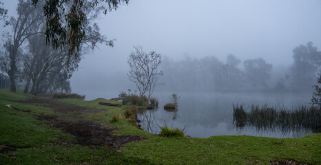 A misty morning on the banks of the Goulburn River in Nagambie, Australia. Fog over the calm water,...