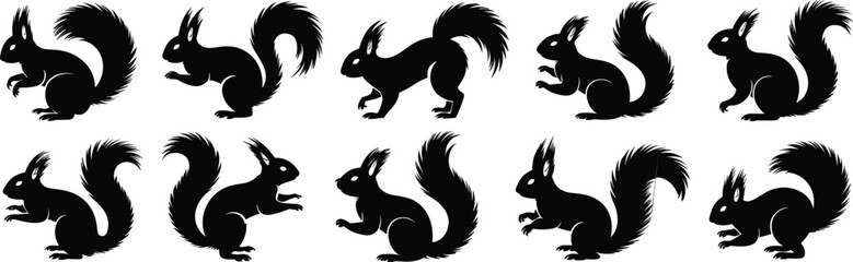Squirrel silhouette set, black squirrel clipart, vector forest animal, jumping squirrel design, fluffy tail squirrel graphic, woodland creature icon, nature wildlife artwork