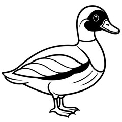 Minimalist Wood Duck Line Illustration