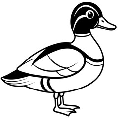 Minimalist Wood Duck Line Illustration