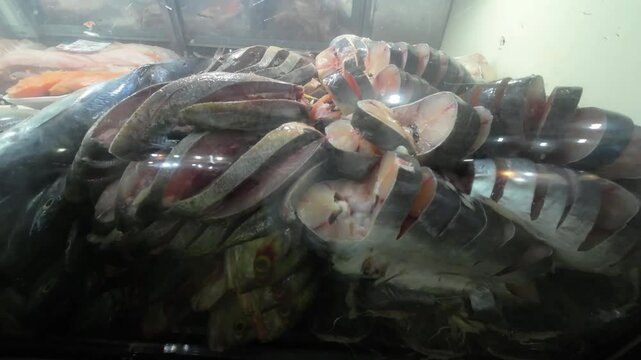 Raw fishes display market with Price tags in dollars money. Tilt down