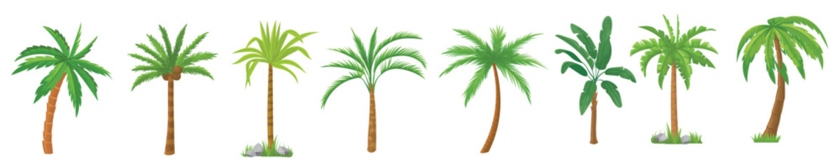 Palm trees. Tropical tree green leaves, beach palms and retro greenery isolated vector set