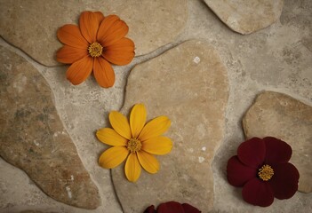 Floral Mosaic on Stone: A captivating composition of vibrant flowers and earthy stones showcases a harmonious blend of natural textures and cheerful colors, perfect for designs. Ai generated image