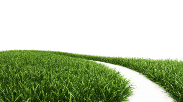 Green grass with clear path