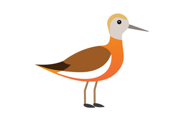 Stylized Illustration of a Sandpiper Bird Character with Orange Neck and Brown Wing Isolated on a White Background Depicting Wildlife