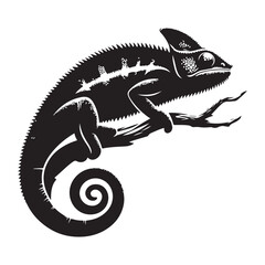 silhouette of a lizard