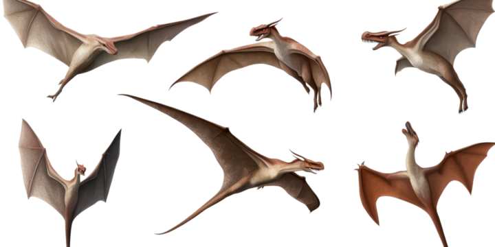 Set of pterodactyl isolated on transparent background.