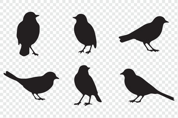 Set of bird silhouettes  in various poses isolated on transparent background.