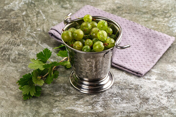 Ripe sweeet and juicy gooseberry