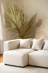 A spacious living area showcases a contemporary sectional sofa adorned with cushions, complemented by a large dried palm plant in a bright and airy setting.