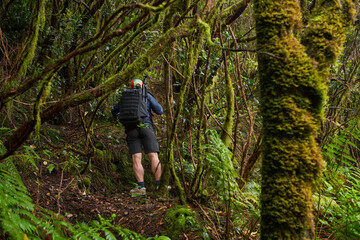 Photographer deep in Anaga jungle