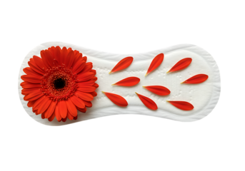 Sanitary Pad Red Gerbera Flower Petals isolated on a transparent background