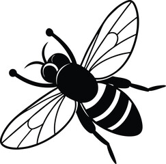 bee vector illustration
