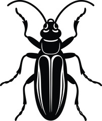 vector illustration of a black beetle