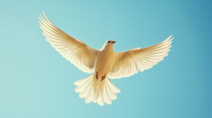 Fototapeta premium An artistic image of a bird soaring against a clear blue sky, with a focus on the intricate details of its feathers and the sense of freedom in flight.