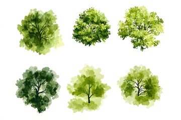 Watercolor illustration of six different tree top views on a white background in an arrangement pattern