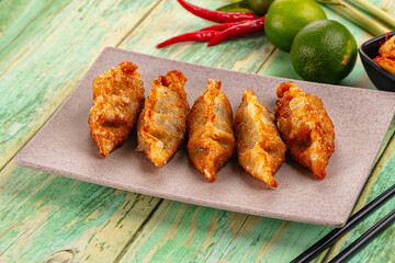 Asian fried stuffed dumplings gyoza