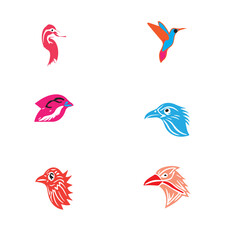  Nice Colorful Birds Vector set 