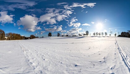 winter landscape with snow