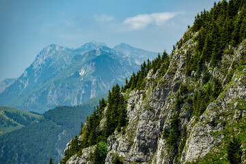 Obraz premium Majestic Mountain Range with Lush Green Pines and Rugged Cliffs Under a Clear Blue Sky on a Sunny Day in a Picturesque Landscape