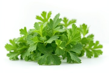 Fototapeta premium Parsley herb, basil leaves, thyme,mint spice isolated on white background.
