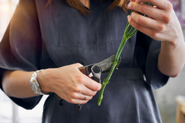 Woman arranging vibrant, fresh flower bouquet © sata_production