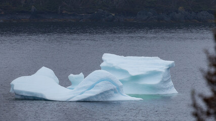 Iceberg of Icebergs at Newfoundland drifted from Greenland in summertime.