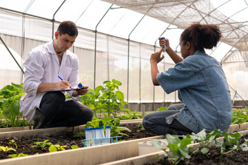 Researchers collected experimental results from vegetable plots in a temperature-controlled greenhouse, with children as research assistants.