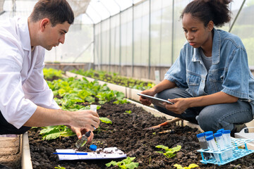 Researchers collected experimental results from vegetable plots in a temperature-controlled greenhouse, with children as research assistants.