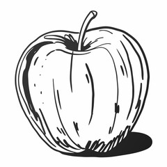 vector illustration of an apple