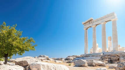 Obraz premium Ancient ruins with lush tree under bright sky