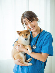 Young Veterinarian Holding Shiba Inu Puppy in Clinic Uniform with Stethoscope — Animal Care and Veterinary Concept