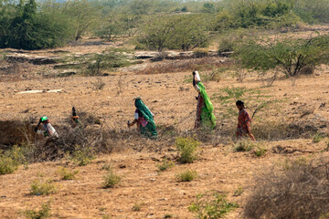 Group of Kutchi Tribal Women in Traditional Dress Walking to Collect Water at Sunset