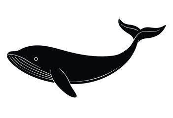 Whale Silhouette Vector elements Illustration of Ocean Animal Isolated on White Background